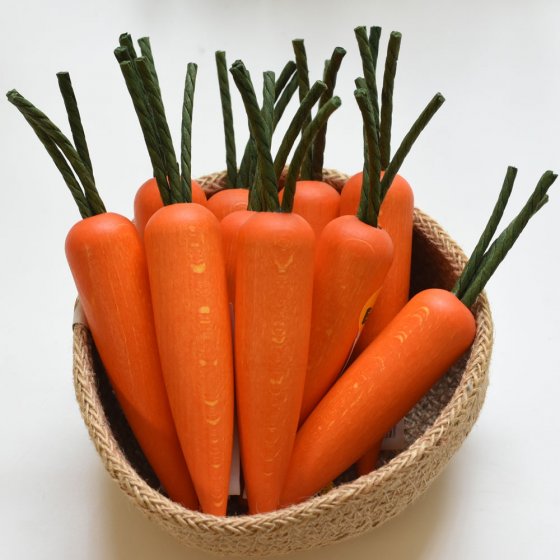 Erzi Carrot